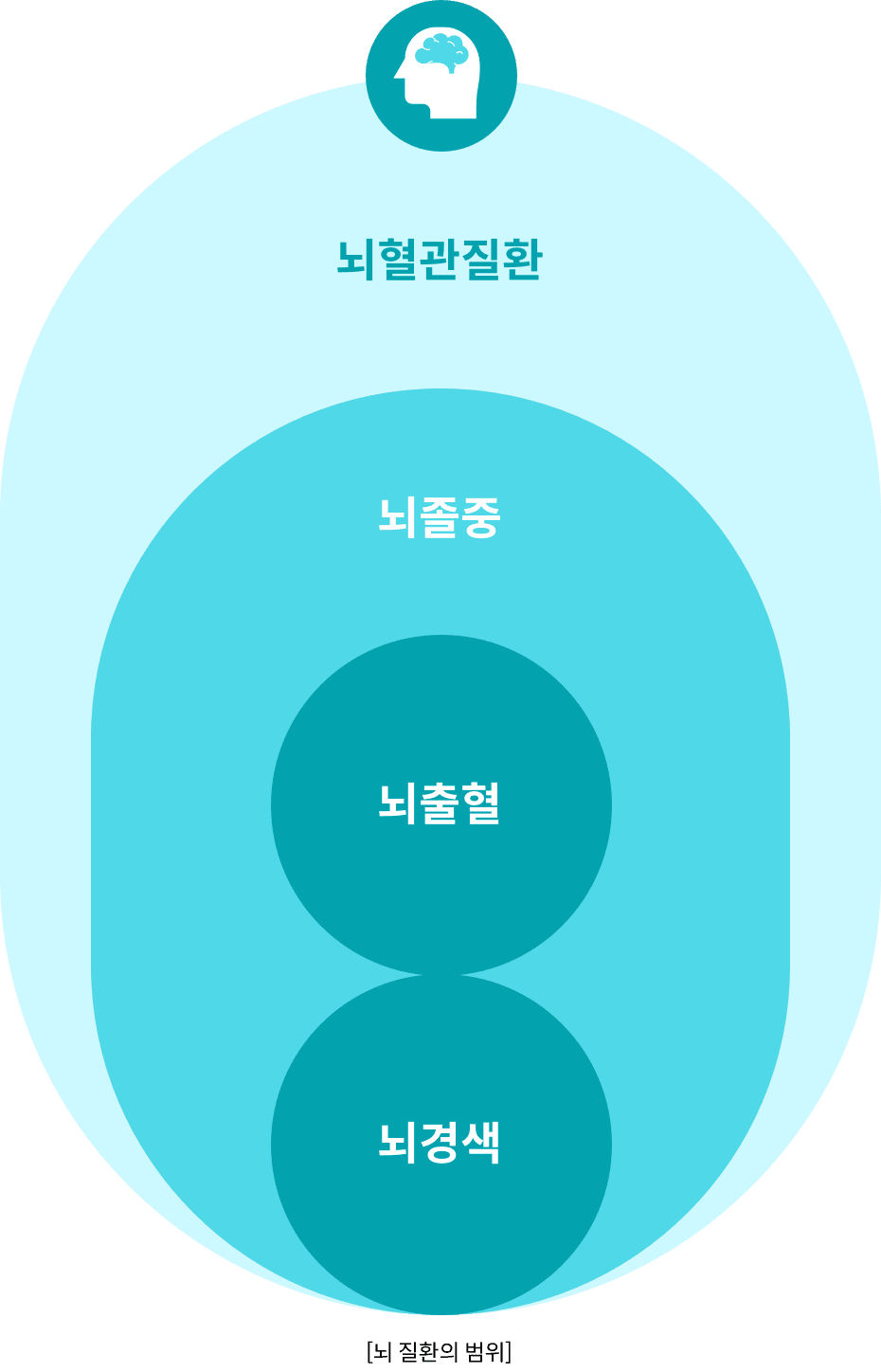 [뇌 질환의 범위] 뇌혈관질환 안에 뇌졸중. 뇌졸중 안에 뇌출혈과 뇌경색이 포함된다.