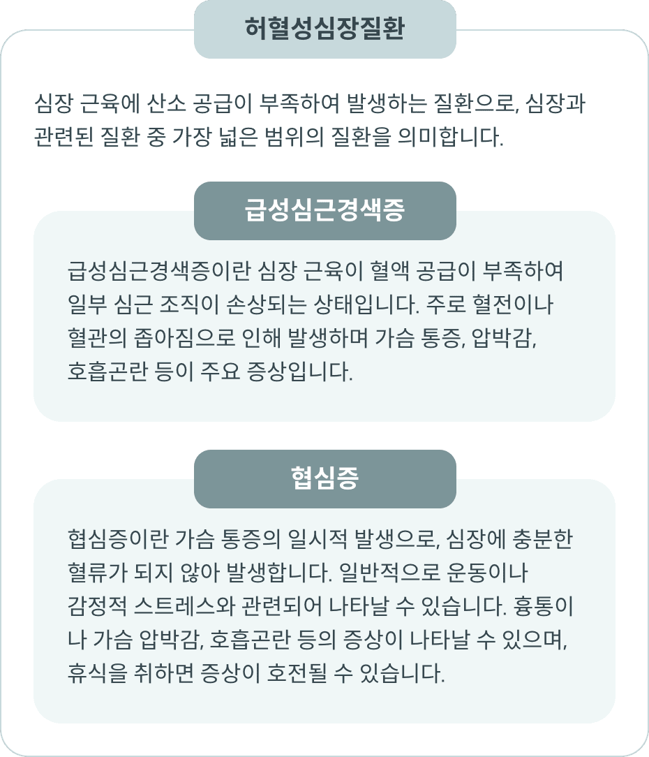 심장과 관련된 질환 종류